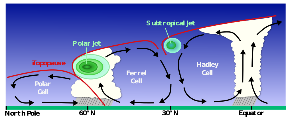 earth circulation cells and the jet stream
