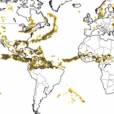 World Thunderstorm Maps - turbli